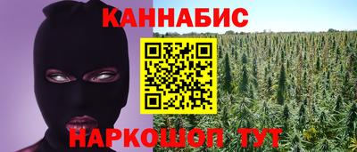твердый Кингисепп