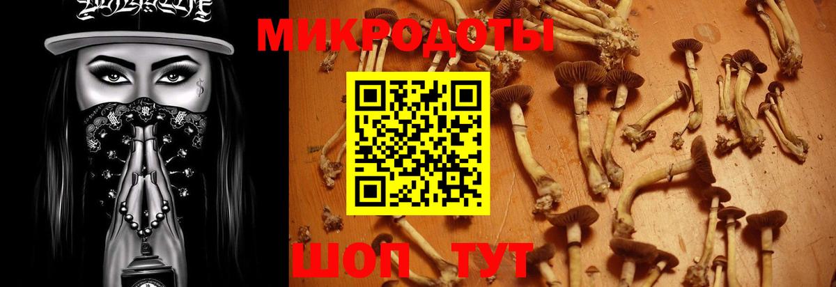Псилоцибиновые грибы Magic Shrooms Черногорск